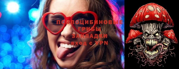 хмурый Алексин