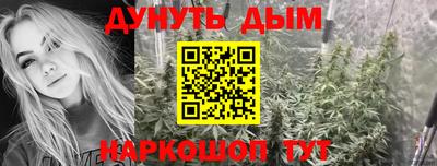 гидра Дмитров
